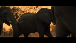 Our Universe - Season 01 Episode 05